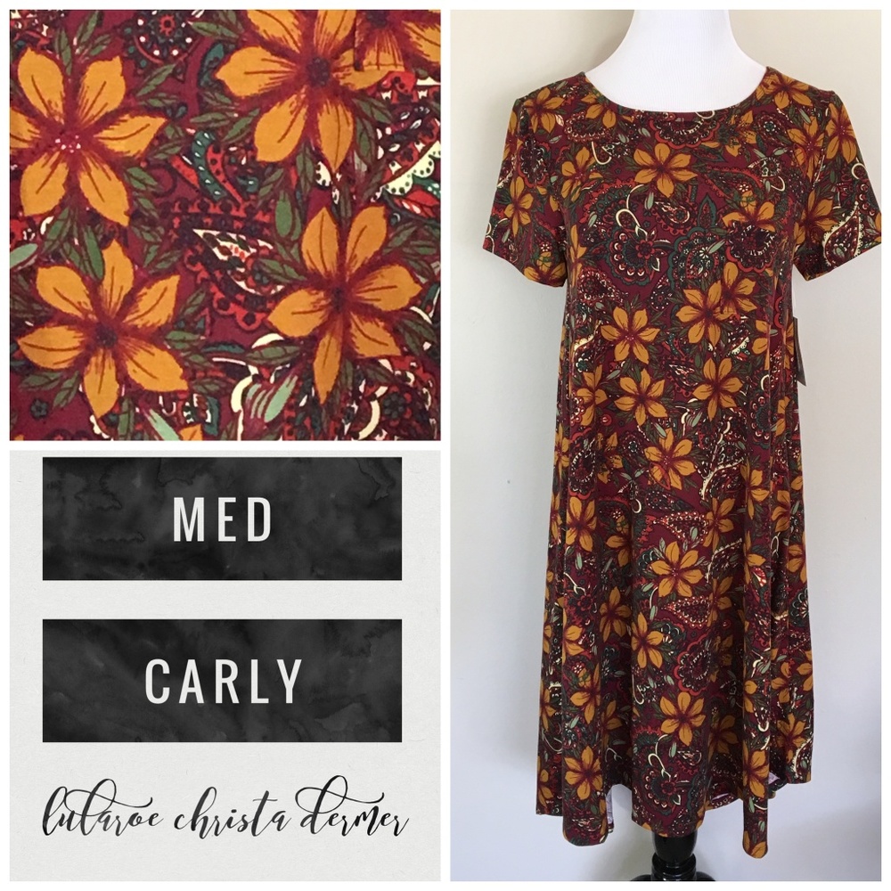 NWT Lularoe Carly Dress